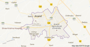 Top colleges for MBA in Anand
